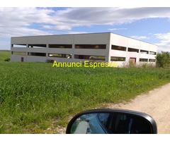 Capannone Contrada Marinella mq1000 Privato