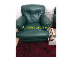 2 poltrone della frau verde scuro