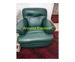 2 poltrone della frau verde scuro