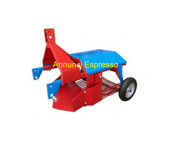 Scavapatate Pachito Rosso per Terreni Duri