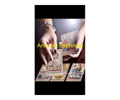 Preconsulto gratuito