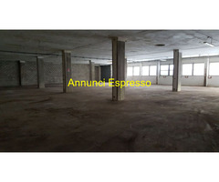 Affitto magazzino Via Aterno mq817 affitto Euro3000