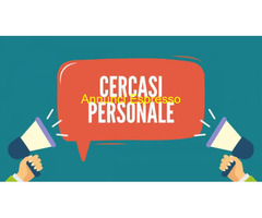 Cosulente cerca  Risorse umane  nel settore Consulenza con  esperienza