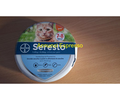 Collare Seresto per gatti