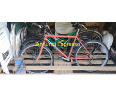 Mountain bike colore arancione