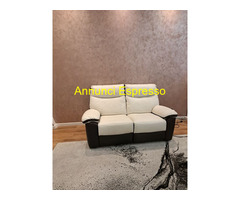 Divani da salotto in pelle