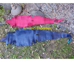 Pellami Esotici e Pregiati