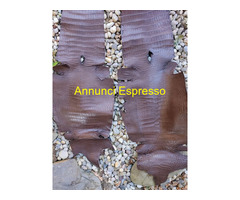 Pellami Esotici e Pregiati