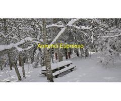 Lettura tarocchi, sibille,napoletane