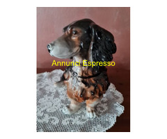 Cane Bassotto Antica Figurina anni '40 in porcella