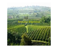 Rustico mq1 Da ristrutturare piano seminterrato