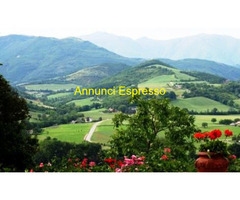 Rustico mq1 Da ristrutturare piano seminterrato