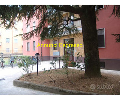 Affitto monolocale Milano 2 mq38 numero localiuno