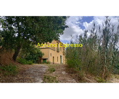 Terreno coltivabile mq30000 Privato