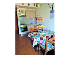 Affitto bilocale ideale pervacanza al mare mq40 numero localidue