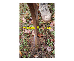 Estirpatore pesante 7 ancore lungo cm 180