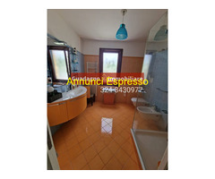 Cerco villa bifamiliare mq400 Buono piano terra