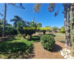 Villa mq400 Ristrutturato piano terra