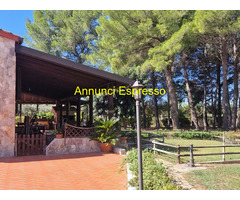 Villa mq400 Ristrutturato piano terra