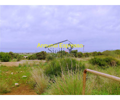  Vendita Terreno 51230 mq 