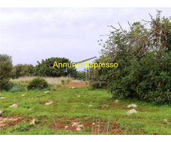  Vendita Terreno 51230 mq 