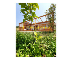 Appartamento inAgriturismo VioVillas Agritusimo glam prezzo per persona €100