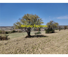  Vendita Terreno 7040 mq 