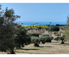  Vendita Terreno 3500 mq 