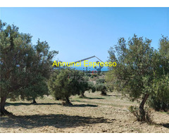  Vendita Terreno 3500 mq 