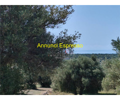  Vendita Terreno 3500 mq 