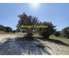  Vendita Terreno 3500 mq 