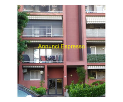 Affitto monolocale Milano 2 mq38 numero localiuno