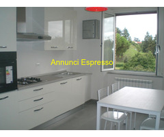 Posto letto instanza indipendente Antiporto Camollia mq20 affitto Euro430