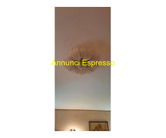 LAMPADARIO MURANO BAROVIER & TOSO DIAM 60 CM. FOGL