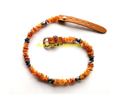 COLLARE ANTIPARASSITARIO IN AMBRA PER CANI E GATTI