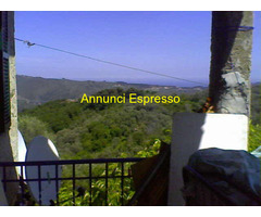 Terreno coltivabile mq3250 Privato