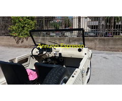 CITROEN Mehari CABRIO Cabrio