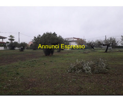 Terreno edificabile mq3635 Privato