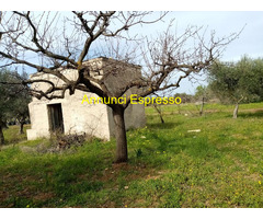 Affitto terreno coltivabile mq8000 Privato