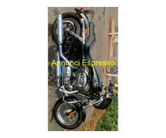 HARLEY-DAVIDSON Sportster 1200 Sportster 1200XL custom  Custom