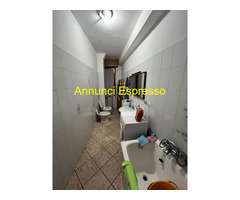 Posto letto instanza doppia Zona Washington  mq40 affitto Euro400