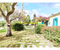  Vendita Villa/Casa singola 600 mq 