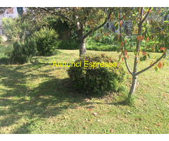 Affitto villa a 400 metri dal cent mq140 numero localiquattro