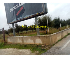 Affitto terreno coltivabile mq8000 Privato