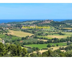 Terreno edificabile mq3300 Privato