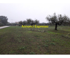 Terreno edificabile mq3635 Privato