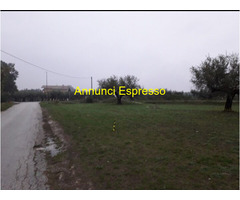 Terreno edificabile mq3635 Privato