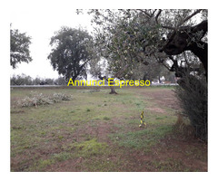 Terreno edificabile mq3635 Privato