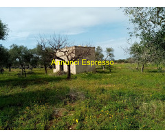 Affitto terreno non edificabile mq7900 Privato