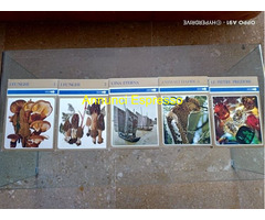 ENCICLOPEDIA CURCUIO RAMA